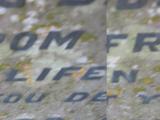 image of grave number 525525
